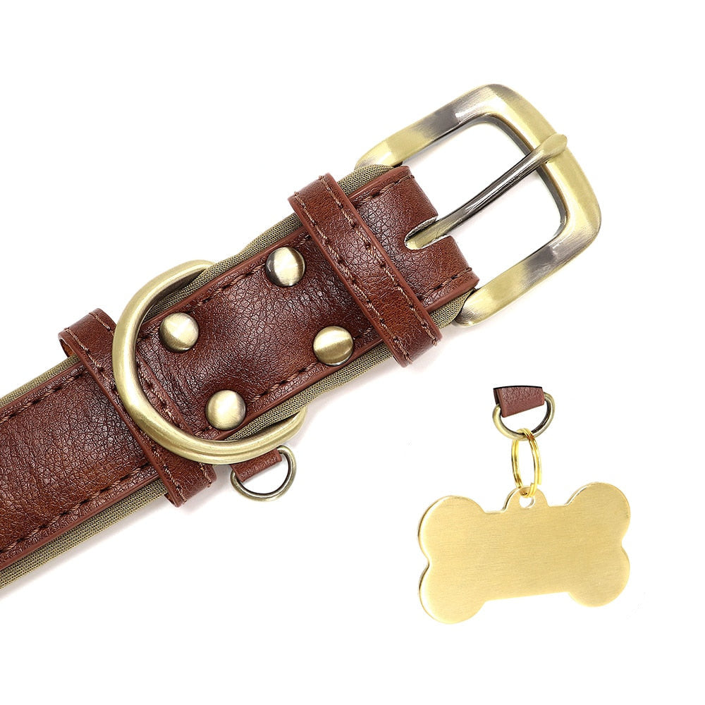 Leather dog collar with customized engraved nameplate.