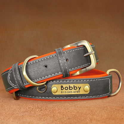 Leather dog collar with customized engraved nameplate.