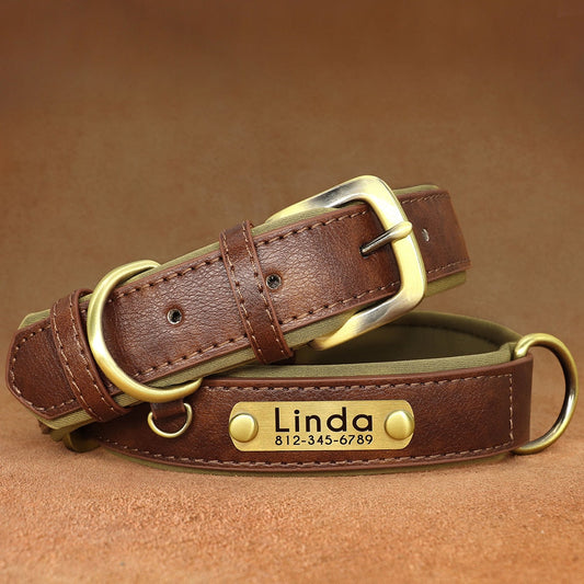 Leather dog collar with customized nameplate engraved with pet's name and contact information.