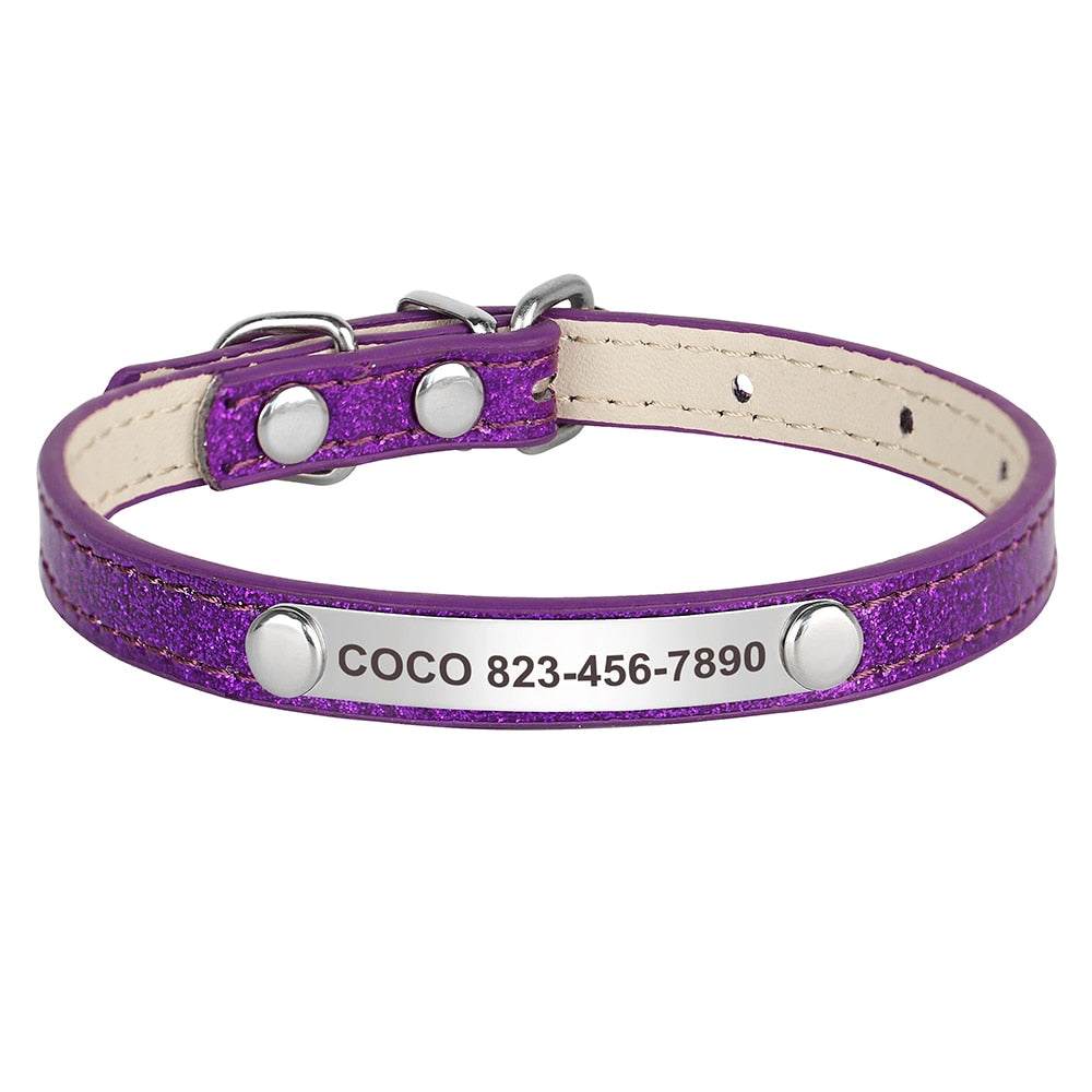 Purple engraved sparkly cat collar with name and phone number.