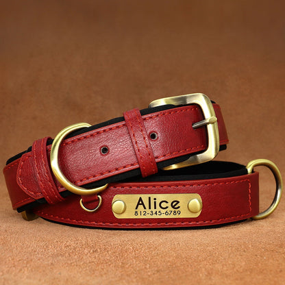 Leather dog collar with customized engraved nameplate.