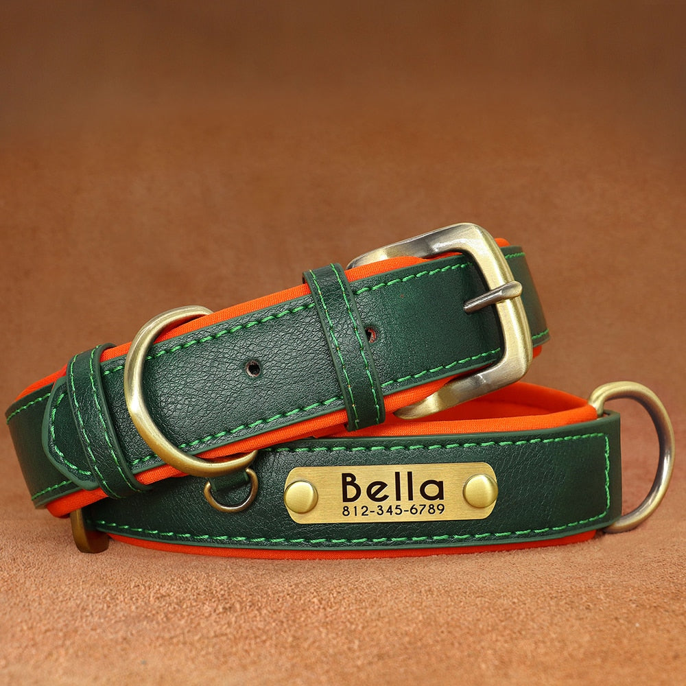 Leather dog collar with customized nameplate for secure pet identification.