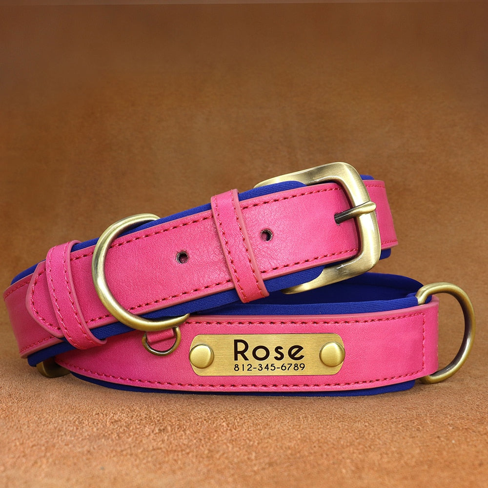 Leather dog collar with customized engraved nameplate.