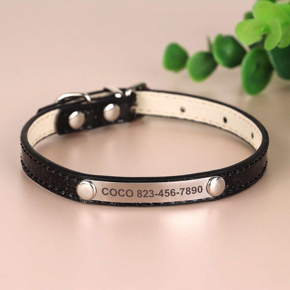 Engraved sparkly cat collar with name and phone number in black.