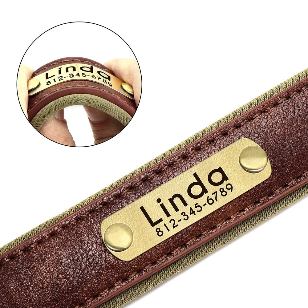 Leather dog collar with customized engraved nameplate for pets.