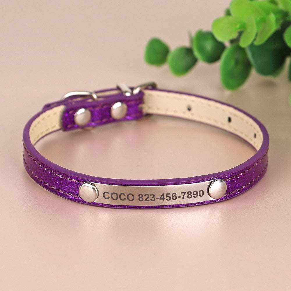 Purple engraved sparkly cat collar with name and phone number.