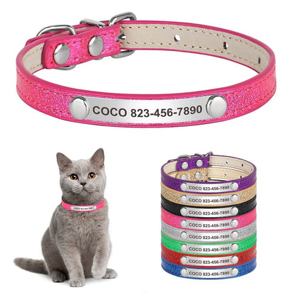 Engraved sparkly cat collar in pink and other colors with personalized name and phone number.